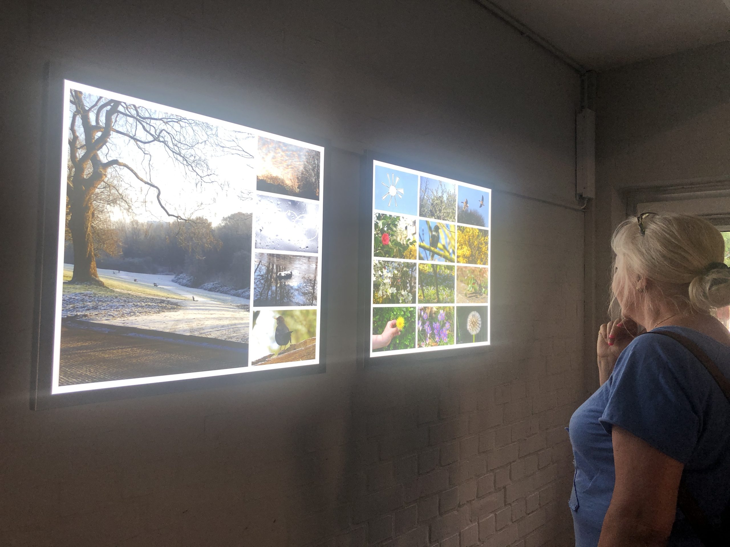 Frau betrachtet Treppenhausgalerie mit zwei Leuchtkästen mit Fotos von verschiedene Naturmotiven
